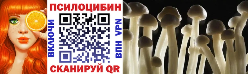 Галлюциногенные грибы Psilocybe  Гремячинск 