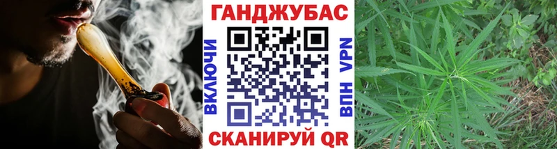 где можно купить   Гремячинск  Канабис конопля 